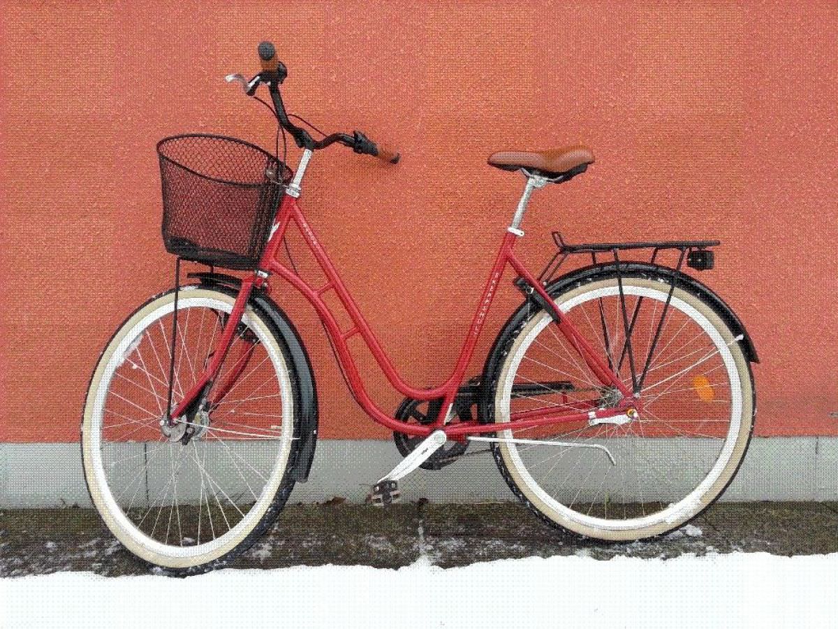 Dam Cykel /Girl Cycle